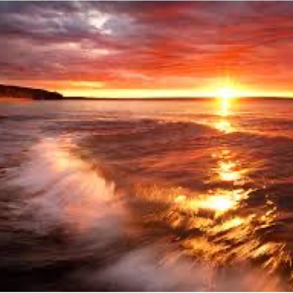 Meet your Posher, Lilly